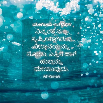 Picture 04 - ಯೋಬನು 40:15 KANIRV - ನಿನ್ನಂತೆ ನನ್ನ - Bible Verse Picture