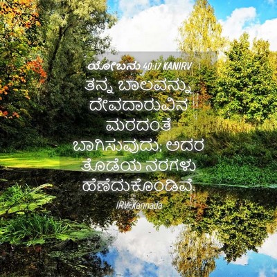 Picture 04 - ಯೋಬನು 40:17 KANIRV - ತನ್ನ ಬಾಲವನ್ನು - Bible Verse Picture