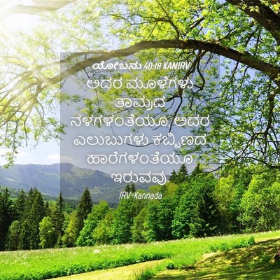 Picture 04 - ಯೋಬನು 40:18 KANIRV - ಅದರ ಮೂಳೆಗಳು - Bible Verse Picture