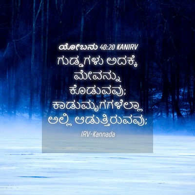 Picture 04 - ಯೋಬನು 40:20 KANIRV - ಗುಡ್ಡಗಳು ಅದಕ್ಕೆ - Bible Verse Picture