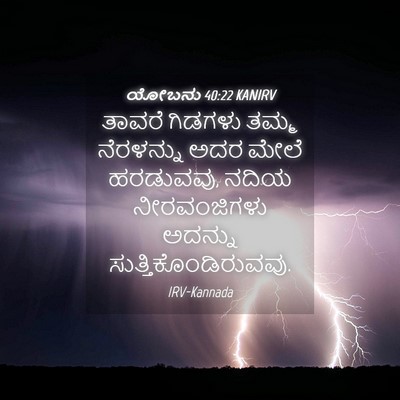 Picture 04 - ಯೋಬನು 40:22 KANIRV - ತಾವರೆ ಗಿಡಗಳು ತಮ್ಮ - Bible Verse Picture