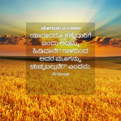 Picture 04 - ಯೋಬನು 40:24 KANIRV - ಯಾರಾದರೂ - Bible Verse Picture