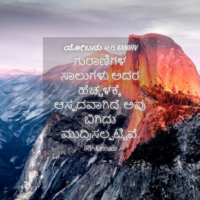 Picture 04 - ಯೋಬನು 41:15 KANIRV - ಗುರಾಣಿಗಳ ಸಾಲುಗಳು - Bible Verse Picture