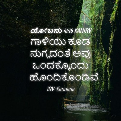 Picture 04 - ಯೋಬನು 41:16 KANIRV - ಗಾಳಿಯು ಕೂಡ - Bible Verse Picture