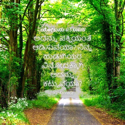 Picture 04 - ಯೋಬನು 41:5 KANIRV - ಅದನ್ನು ಪಕ್ಷಿಯಂತೆ - Bible Verse Picture