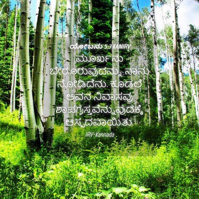 Picture 04 - ಯೋಬನು 5:3 KANIRV - ಮೂರ್ಖನು - Bible Verse Picture
