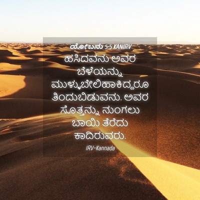 Picture 04 - ಯೋಬನು 5:5 KANIRV - ಹಸಿದವನು ಅವರ - Bible Verse Picture