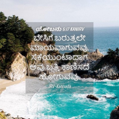 Picture 04 - ಯೋಬನು 6:17 KANIRV - ಬೇಸಿಗೆ ಬರುತ್ತಲೇ - Bible Verse Picture