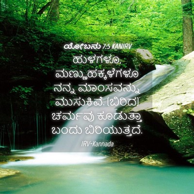 Picture 04 - ಯೋಬನು 7:5 KANIRV - ಹುಳಗಳೂ, - Bible Verse Picture