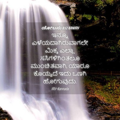 Picture 04 - ಯೋಬನು 8:12 KANIRV - ಇನ್ನೂ - Bible Verse Picture