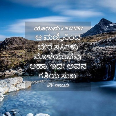 Picture 04 - ಯೋಬನು 8:19 KANIRV - ಆ ಮಣ್ಣಿನಿಂದ ಬೇರೆ - Bible Verse Picture
