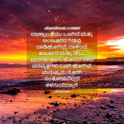 Picture 04 - ಯೋವೇಲನು 1:12 KANIRV - ದ್ರಾಕ್ಷಾಲತೆಯು - Bible Verse Picture