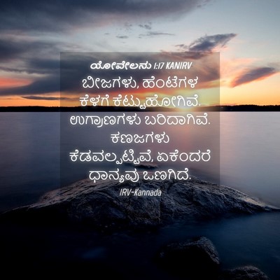 Picture 04 - ಯೋವೇಲನು 1:17 KANIRV - ಬೀಜಗಳು, ಹೆಂಟೆಗಳ - Bible Verse Picture