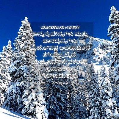 Picture 04 - ಯೋವೇಲನು 1:9 KANIRV - ಧಾನ್ಯನೈವೇದ್ಯಗಳು - Bible Verse Picture
