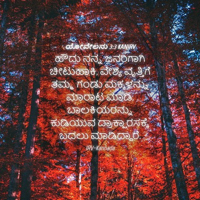 Picture 04 - ಯೋವೇಲನು 3:3 KANIRV - ಹೌದು ನನ್ನ - Bible Verse Picture