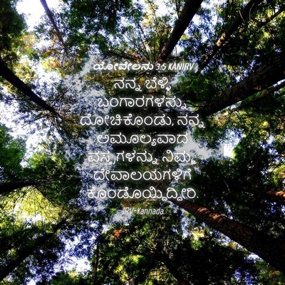 Picture 04 - ಯೋವೇಲನು 3:5 KANIRV - ನನ್ನ ಬೆಳ್ಳಿ - Bible Verse Picture