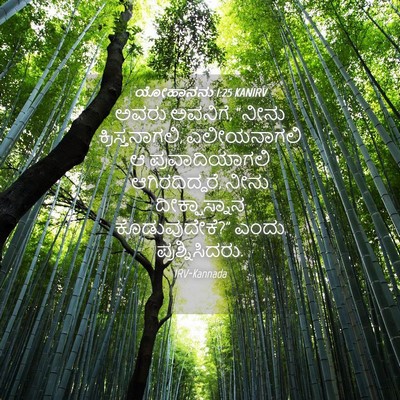 Picture 04 - ಯೋಹಾನನು 1:25 KANIRV - ಅವರು ಅವನಿಗೆ, “ನೀನು - Bible Verse Picture