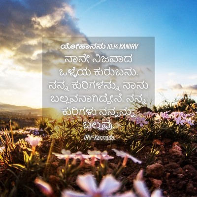 Picture 04 - ಯೋಹಾನನು 10:14 KANIRV - ನಾನೇ ನಿಜವಾದ - Bible Verse Picture
