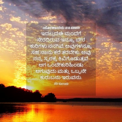 Picture 04 - ಯೋಹಾನನು 10:16 KANIRV - ಇದಲ್ಲದೆಈ ಮಂದೆಗೆ - Bible Verse Picture