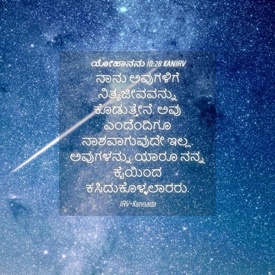 Picture 04 - ಯೋಹಾನನು 10:28 KANIRV - ನಾನು ಅವುಗಳಿಗೆ - Bible Verse Picture