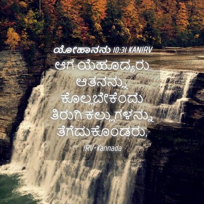 Picture 04 - ಯೋಹಾನನು 10:31 KANIRV - ಆಗ ಯೆಹೂದ್ಯರು - Bible Verse Picture