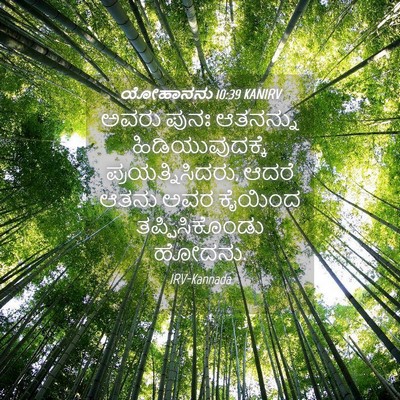 Picture 04 - ಯೋಹಾನನು 10:39 KANIRV - ಅವರು ಪುನಃ ಆತನನ್ನು - Bible Verse Picture