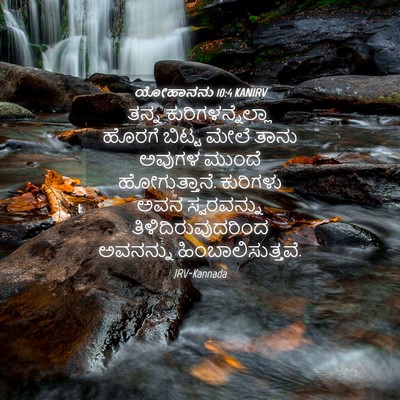 Picture 04 - ಯೋಹಾನನು 10:4 KANIRV - ತನ್ನ - Bible Verse Picture