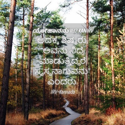 Picture 04 - ಯೋಹಾನನು 11:12 KANIRV - ಅದಕ್ಕೆ ಶಿಷ್ಯರು, - Bible Verse Picture