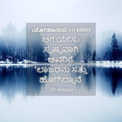 Picture 04 - ಯೋಹಾನನು 11:14 KANIRV - ಆಗ ಯೇಸು - Bible Verse Picture