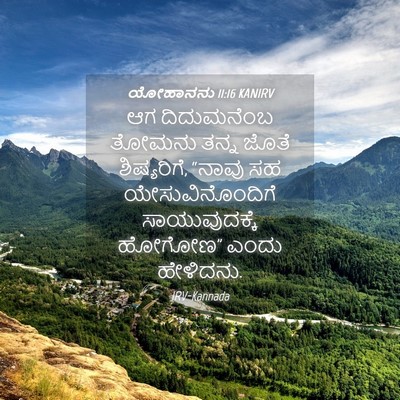 Picture 04 - ಯೋಹಾನನು 11:16 KANIRV - ಆಗ ದಿದುಮನೆಂಬ - Bible Verse Picture
