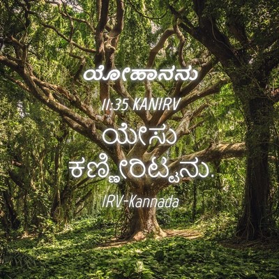 Picture 04 - ಯೋಹಾನನು 11:35 KANIRV - ಯೇಸು - Bible Verse Picture