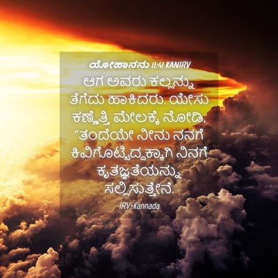 Picture 04 - ಯೋಹಾನನು 11:41 KANIRV - ಆಗ ಅವರು ಕಲ್ಲನ್ನು - Bible Verse Picture