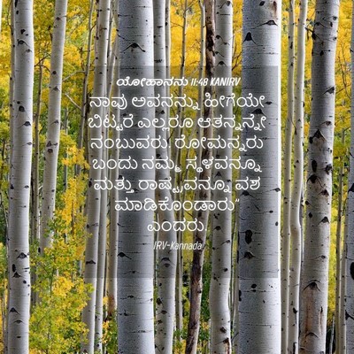 Picture 04 - ಯೋಹಾನನು 11:48 KANIRV - ನಾವು ಅವನನ್ನು - Bible Verse Picture