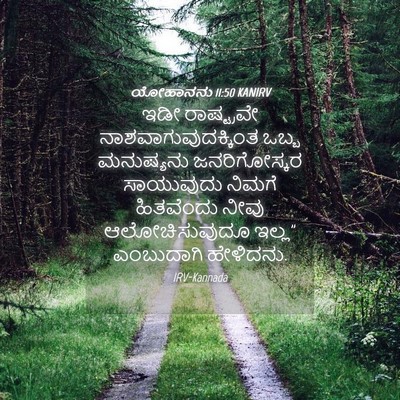 Picture 04 - ಯೋಹಾನನು 11:50 KANIRV - ಇಡೀ ರಾಷ್ಟ್ರವೇ - Bible Verse Picture