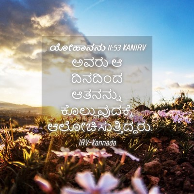 Picture 04 - ಯೋಹಾನನು 11:53 KANIRV - ಅವರು ಆ ದಿನದಿಂದ - Bible Verse Picture