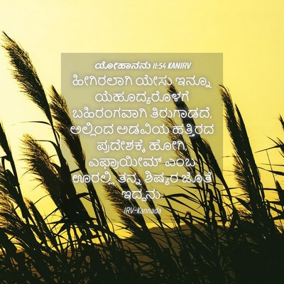 Picture 04 - ಯೋಹಾನನು 11:54 KANIRV - ಹೀಗಿರಲಾಗಿ ಯೇಸು - Bible Verse Picture