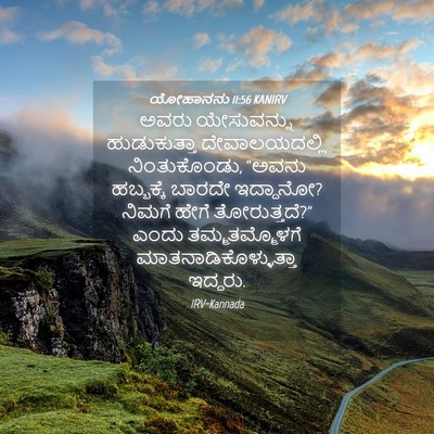 Picture 04 - ಯೋಹಾನನು 11:56 KANIRV - ಅವರು ಯೇಸುವನ್ನು - Bible Verse Picture