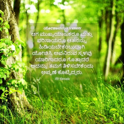 Picture 04 - ಯೋಹಾನನು 11:57 KANIRV - ಆಗ ಮುಖ್ಯಯಾಜಕರೂ - Bible Verse Picture