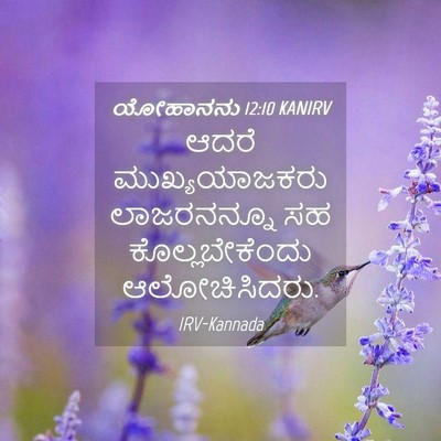 Picture 04 - ಯೋಹಾನನು 12:10 KANIRV - ಆದರೆ ಮುಖ್ಯಯಾಜಕರು - Bible Verse Picture