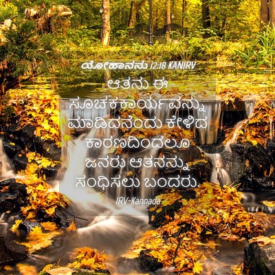 Picture 04 - ಯೋಹಾನನು 12:18 KANIRV - ಆತನು ಈ - Bible Verse Picture