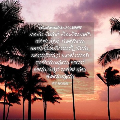 Picture 04 - ಯೋಹಾನನು 12:24 KANIRV - ನಾನು ನಿಮಗೆ - Bible Verse Picture