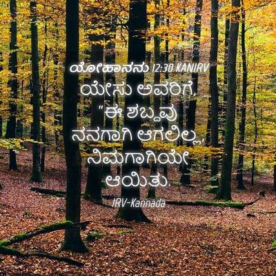 Picture 04 - ಯೋಹಾನನು 12:30 KANIRV - ಯೇಸು ಅವರಿಗೆ, “ಈ - Bible Verse Picture