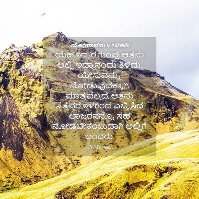 Picture 04 - ಯೋಹಾನನು 12:9 KANIRV - ಯೆಹೂದ್ಯರ ಗುಂಪು - Bible Verse Picture
