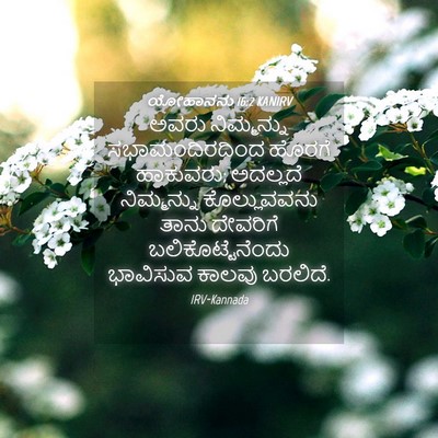 Picture 04 - ಯೋಹಾನನು 16:2 KANIRV - ಅವರು ನಿಮ್ಮನ್ನು - Bible Verse Picture