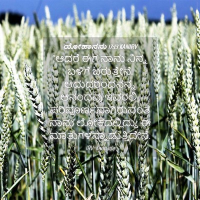 Picture 04 - ಯೋಹಾನನು 17:13 KANIRV - “ಆದರೆ ಈಗ ನಾನು - Bible Verse Picture