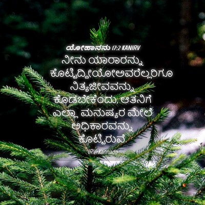 Picture 04 - ಯೋಹಾನನು 17:2 KANIRV - ನೀನು ಯಾರಾರನ್ನು - Bible Verse Picture