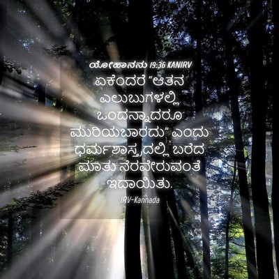 Picture 04 - ಯೋಹಾನನು 19:36 KANIRV - ಏಕೆಂದರೆ “ಆತನ - Bible Verse Picture