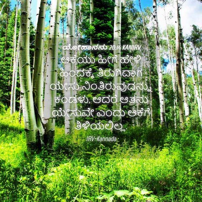 Picture 04 - ಯೋಹಾನನು 20:14 KANIRV - ಆಕೆಯು ಹೀಗೆ ಹೇಳಿ - Bible Verse Picture