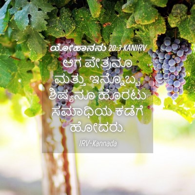 Picture 04 - ಯೋಹಾನನು 20:3 KANIRV - ಆಗ ಪೇತ್ರನೂ ಮತ್ತು - Bible Verse Picture