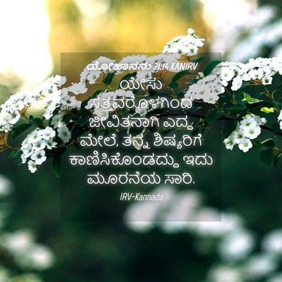 Picture 04 - ಯೋಹಾನನು 21:14 KANIRV - ಯೇಸು ಸತ್ತವರೊಳಗಿಂದ - Bible Verse Picture